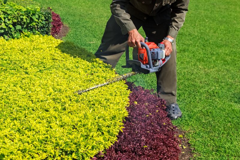 Commercial Shrub Trimming