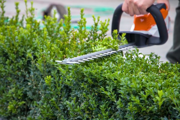 Cost of Hedge Pruning in Bryan