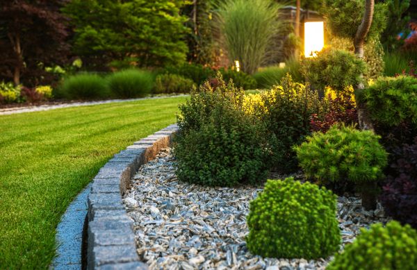 Cost of Bush Relocation in Bryan