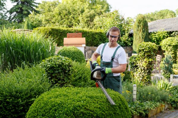 Cost of Shrubs Trimming in Bryan